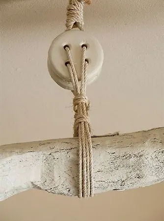 Vanilla