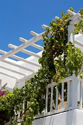 Vanilla 2* 奥诺斯